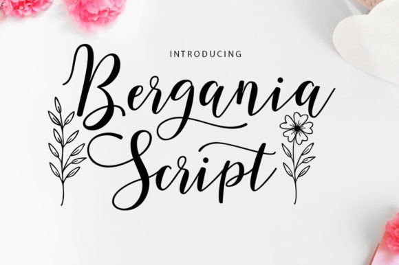 Bergania Script: A Modern Font for Editorial Personality