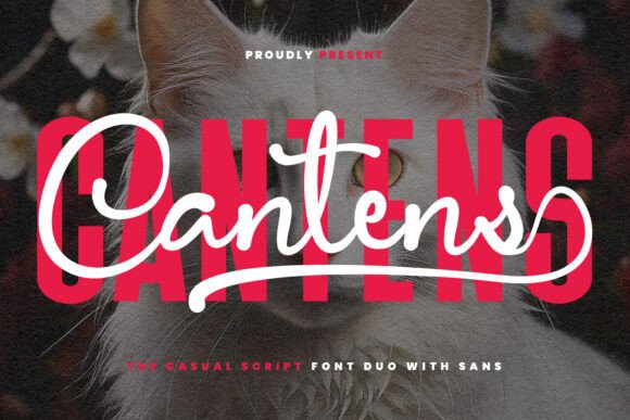 Cantens Typeface: A Designer’s Real-World Test for Modern Branding