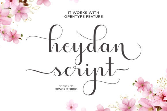 Heydan Script: A Smooth Typeface for Refined Web Design