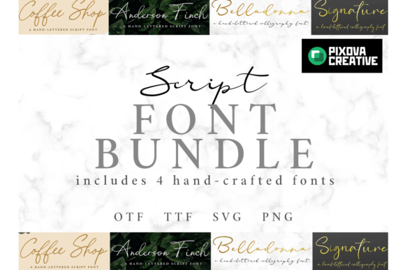 How the Script 4 Bundle Elevates Digital Typography