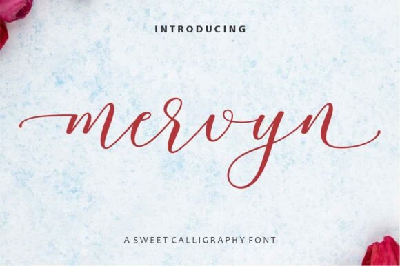 Mervyn Font Review: Is This the Elegant Script You Need?