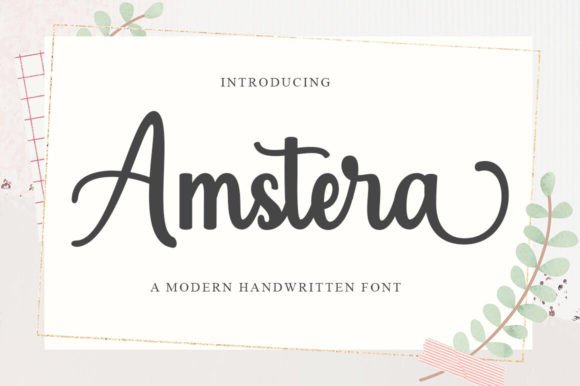 The Expressive Charm and Professional Performance of Amstera Script