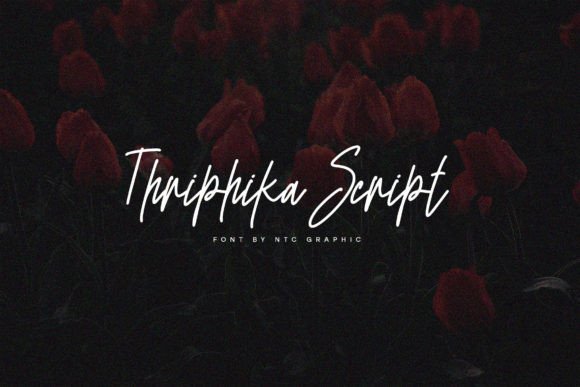 Thriphika Script: A Font for Modern Web Design