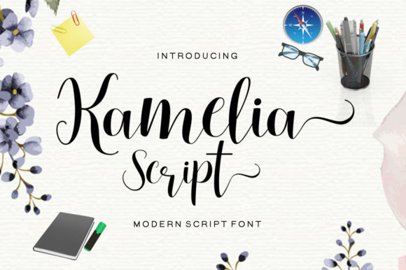 Using Kamelia Script to Build a Polished Digital Brand Experience